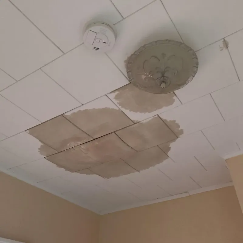 Ceiling Water Damage Repair in Social Circle, GA